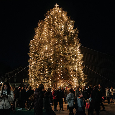 City of Bethlehem Tree Lighting Ceremony