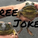 Free Jokes! Standup Open Mic